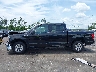 1FTEW1C56KK****** Repairable 2019 Ford F-150 in Florida State