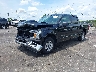 1FTEW1C56KK****** Used and Repairable 2019 Ford F-150 in Jacksonville