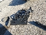 1V2FE2CA9SC****** Wrecked 2025 Volkswagen Atlas in Texas State
