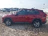 2T3W1RFV3PW****** Reparables 2023 Toyota RAV4 en Estado de Texas