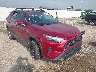 2T3W1RFV3PW****** Salvamento y Destrozados 2023 Toyota RAV4 en Dallas