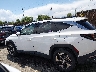 5NMJECAE1PH****** Salvage 2023 Hyundai Tucson
