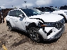 5NMJECAE1PH****** Salvage and Wrecked 2023 Hyundai Tucson in Denver East