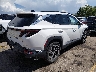 5NMJECAE1PH****** Salvage and Wrecked 2023 Hyundai Tucson in Colorado State