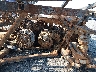 3JBUKAX47NK****** Used 2022 Can-Am Defender/Traxter in Little Rock