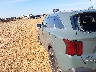KNDRHDJG9T5****** Salvage and Wrecked 2026 Kia Sorento Hybrid in Springfield