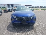 5NMJACAE4PH****** Wrecked 2023 Hyundai Tucson in Minnesota State