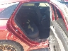 5XXG14J2XPG****** Wrecked 2023 Kia K5 in Saint Louis