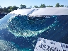 1FM5K8D83JG****** Salvage and Repairable 2018 Ford Explorer in Virginia State