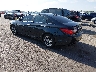 5NPEB4AC4DH****** Salvamento y Reparables 2013 Hyundai Sonata en Saint Louis