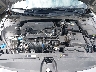 KMHLL4DG0SU****** Repairable 2025 Hyundai Elantra in Atlanta North