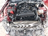 1FA6P8TH1R5****** Repairable 2024 Ford Mustang in San Antonio South