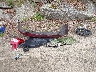 JF1GPAC6XDH****** Wrecked 2013 Subaru Impreza in Massachusetts State