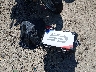 WB10M1309N6****** Salvage 2022 BMW R 1250 GS in Arkansas State