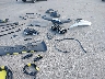 5YJYGDEE4MF****** Salvage and Wrecked 2021 Tesla Model Y in Texas State