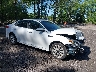 5XXGT4L37KG****** Salvage and Wrecked 2019 Kia Optima in Suffolk