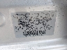3N1CN8EVXSL****** Used 2025 Nissan Versa in New Orleans East