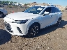 2T2BAMCA5RC****** Used and Repairable 2024 Lexus RX 350 in Long Island