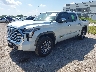 5TFMA5DB5TX****** Usados y Reparables 2026 Toyota Tundra en Dream Rides