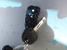 5XYKT3A19BG****** Salvage 2011 Kia Sorento in California State