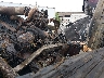 D2137GGB***** Wrecked 1977 International Fb in Oregon State
