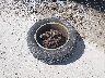 3GTU2UEC7FG****** Wrecked 2015 GMC Sierra 1500 in Ohio State