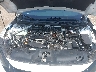 SHHFK7H46MU****** Reparables 2021 Honda Civic en Corpus Christi