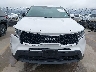 5XYRG4LC8PG****** Destrozados 2023 Kia Sorento en Estado de Texas