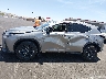 2T2GGCEZ1TC****** Repairable 2026 Lexus NX in Nevada State