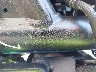 MLHNC5357T5****** Repairable 2026 Honda Rebel 300 in Rec Rides Online Exclusive