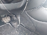 5N1DL0MM0KC****** Salvage 2019 Infiniti QX60 in Ohio State