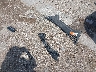 5YJSA1E43GF****** Wrecked 2016 Tesla Model S in Texas State