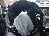 4S4BTAAC4R3****** Repairable 2024 Subaru Outback