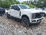 1FT8W2BT4RE****** Salvamento y Destrozados 2024 Ford F-250 en Gulf Coast