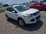 1FMCU0GXXDU****** Salvage and Wrecked 2013 Ford Escape in Minneapolis South