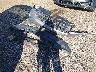 1C4RJEAG6JC****** Wrecked 2018 Jeep Grand Cherokee in South Carolina State
