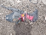KM8K53A51MU****** Wrecked 2021 Hyundai Kona in Tennessee State