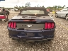 1FATP8UH0L5****** Destrozados 2020 Ford Mustang