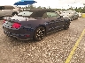 1FATP8UH0L5****** Salvamento y Destrozados 2020 Ford Mustang en Estado de Florida