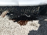 5NPEB4AC6EH****** Wrecked 2014 Hyundai Sonata