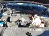 KNDRH4JG0T5****** Repairable 2026 Kia Sorento Hybrid in Charlotte