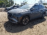 5NMJCCDE8SH****** Usados y Reparables 2025 Hyundai Tucson en Avenel New Jersey