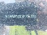 3N1AB8CVXMY****** Used 2021 Nissan Sentra in Long Island