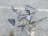 4T1G11AK0RU****** Wrecked 2024 Toyota Camry in California State