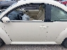 3VWRG3AG9AM****** Repairable 2010 Volkswagen New Beetle in Texas State