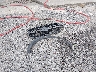 1FTER4HH0SL****** Wrecked 2025 Ford Ranger in North Carolina State