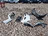 1FTYE1ZMXGK****** Wrecked 2016 Ford Transit-150 in Texas State