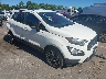 MAJ6S3JL7LC****** Salvamento y Destrozados 2020 Ford Ecosport en High Point