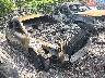 1N4AL3AP2HN****** Salvage and Wrecked 2017 Nissan Altima in Columbus