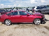 1HGCY1F22SA****** Destrozados 2025 Honda Accord en Estado de Texas
